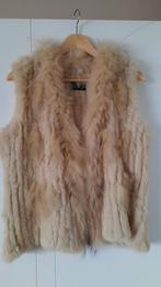 Beige bodywarmer in pels. Medium., Kleding | Dames, Ophalen, Zo goed als nieuw, Beige