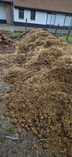 Gratis paardenmest, Ophalen