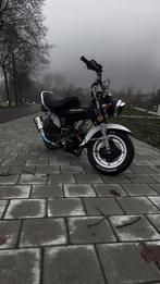 Dax te koop b-klasse, Motoren, Bedrijf