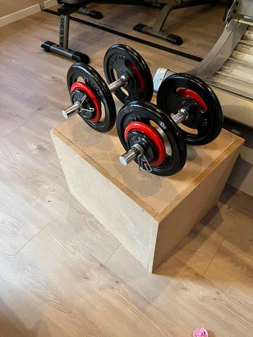 HALTERSET, Sport en Fitness, Ophalen, Zo goed als nieuw, Halterset