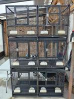 Kweekkooi, Dieren en Toebehoren, Vogels | Hokken en Kooien, Ophalen, Zo goed als nieuw, Broedkooi of Kweekkooi