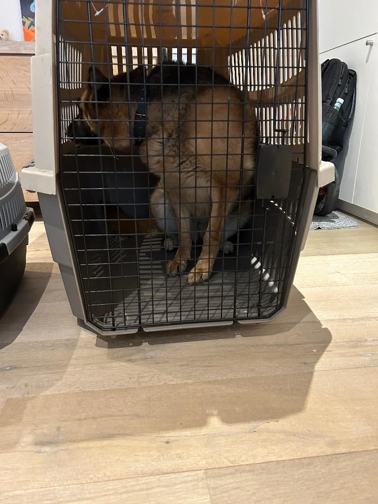 kooien (size hond <8kg + <45kg) / mandje (size hond <8kg), Animaux & Accessoires, Enlèvement, Utilisé