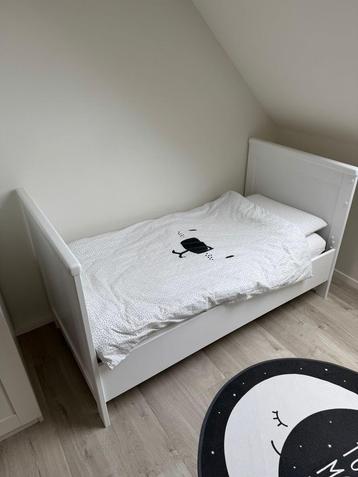 Bopita peuterbed, Enlèvement