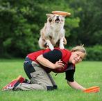bijtbestendige frisbee voor honden GRATIS LEVERING, Dieren en Toebehoren, Honden-accessoires, -, Verzenden, -, Nieuw