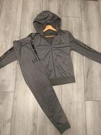 Armani trainingspak niet gedragen nieiw, Kleding | Heren, Emporio Armani, Nieuw, Ophalen of Verzenden, Grijs