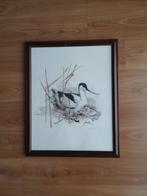 Kader vogel, Antiek en Kunst, Ophalen of Verzenden