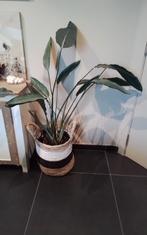 Mooie grote namaakplant in rieten mand, Huis en Inrichting, Ophalen of Verzenden