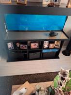 Aquarium met veel toebehoor, Dieren en Toebehoren, Ophalen, Gebruikt