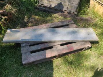 Blauwe steen (168cm x 33cm x 5 cm) beschikbaar voor biedingen