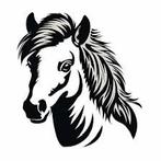Gezocht bereden shetlander / kinderpony / a pony, Ruin, A pony (tot 1.17m), Recreatiepony, Gechipt