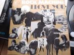 Vinyl lp Rock Machine I love you, Ophalen of Verzenden, Zo goed als nieuw