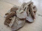Grote zandroos 17 cm lang, 8 cm hoog, Ophalen, Overige typen