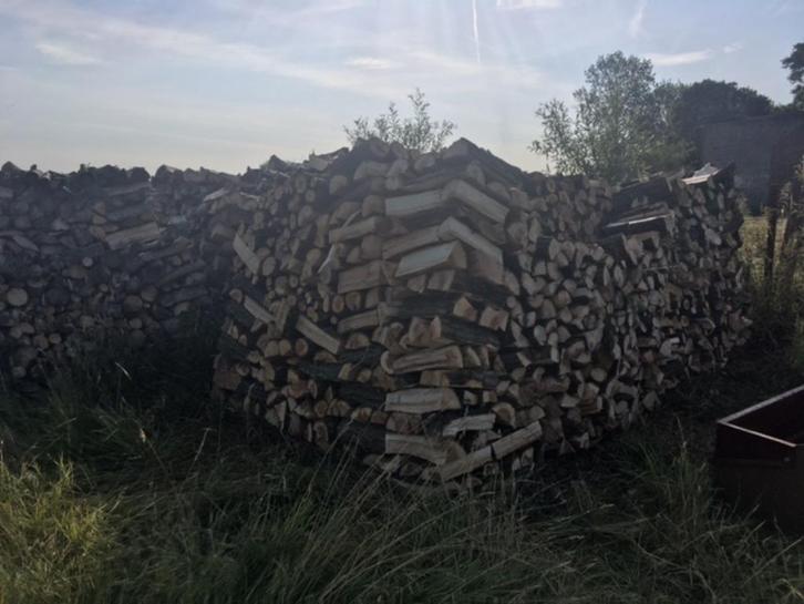 Brandhout te koop Meerbeke, Huis en Inrichting, Overige Huis en Inrichting, Nieuw, Ophalen of Verzenden