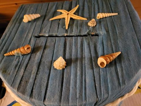 Urne sur le thème de la mer., Hobby en Vrije tijd, Overige Hobby en Vrije tijd, Gebruikt, Ophalen