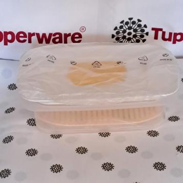 Boîte à fromage Tupperware Coolsmart/New, Enlèvement ou Envoi, Balance