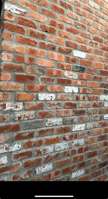 Oude beerse stenen zeker 500 stuks/ boerkes, Doe-het-zelf en Bouw, Metselstenen, Ophalen of Verzenden, Zo goed als nieuw