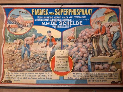 Affiche poster schoonaarde fosfaat  prachtig Dendermonde, Verzamelen, Posters, Gebruikt, Ophalen of Verzenden