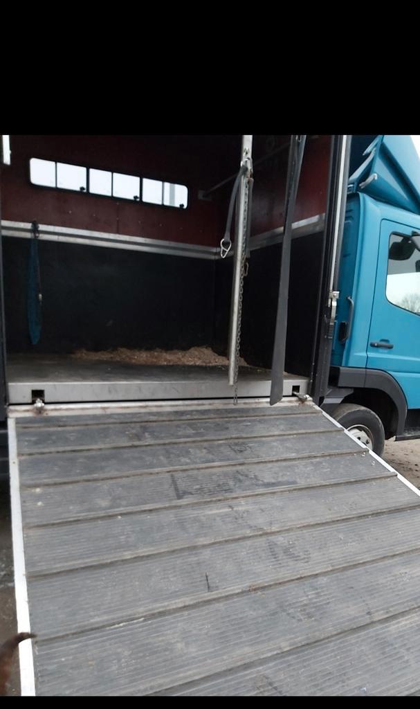 Heel degelijke paardenvrachtwagen , blanco keuring!, Dieren en Toebehoren, Paarden en Pony's | Trailers en Aanhangwagens, Zo goed als nieuw