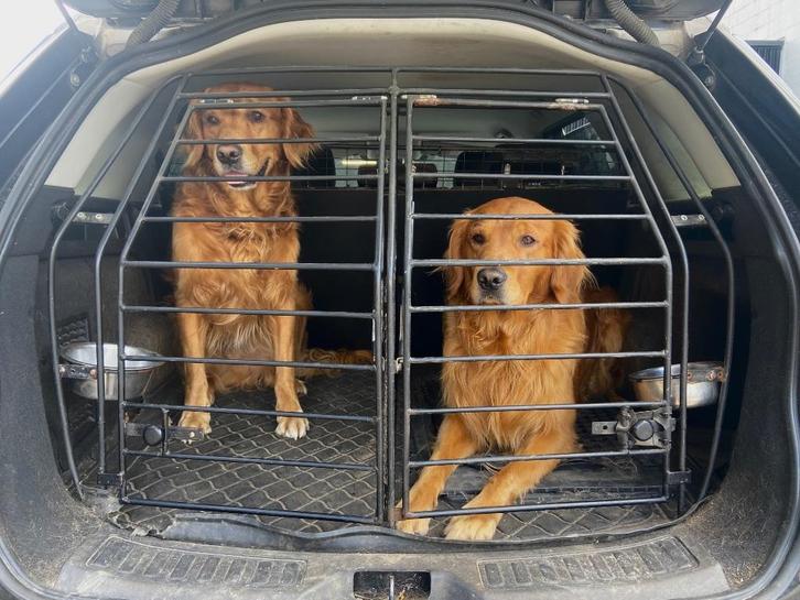 Land Rover Discovery Spor - -kofferinrichting, Autos : Divers, Grille pare-chien, Utilisé, Enlèvement