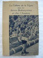 Brabant La Hulpe Terhulpen wijnbouw — Druiventeelt — 1948, Ophalen of Verzenden, Gelezen