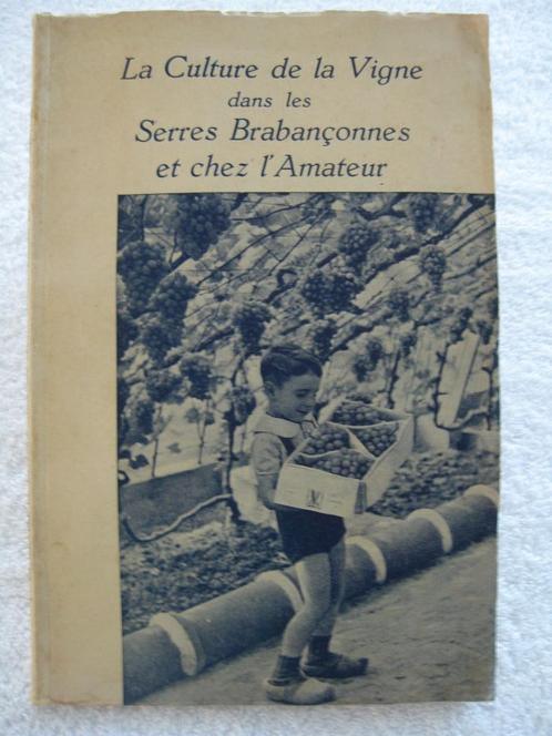 Brabant La Hulpe Terhulpen wijnbouw — Druiventeelt — 1948, Boeken, Geschiedenis | Nationaal, Gelezen, Ophalen of Verzenden