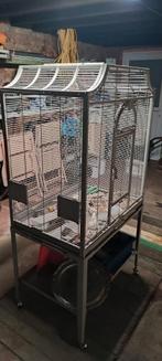 Vogelkooi, Dieren en Toebehoren, Ophalen, Zo goed als nieuw, Vogelkooi