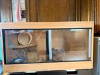 Hamster hok, Dieren en Toebehoren, Gebruikt, Hamster, Hok, 75 tot 110 cm
