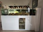 Aquarium Marin shallow 190 X 83 X 40, Enlèvement, Utilisé
