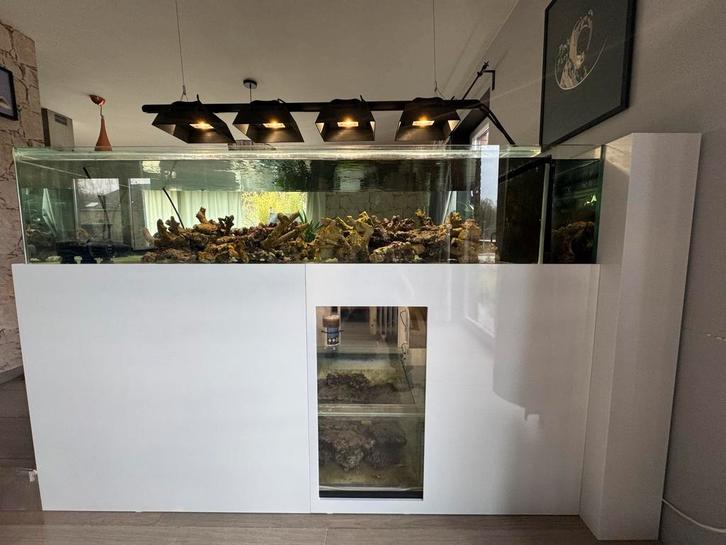 Aquarium Marin shallow 190 X 83 X 40, Maison & Meubles, Dénudé, Utilisé, Enlèvement