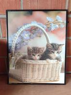 Kader kittens 40 op 50, Huis en Inrichting, Woonaccessoires | Lijsten, Ophalen, Zo goed als nieuw