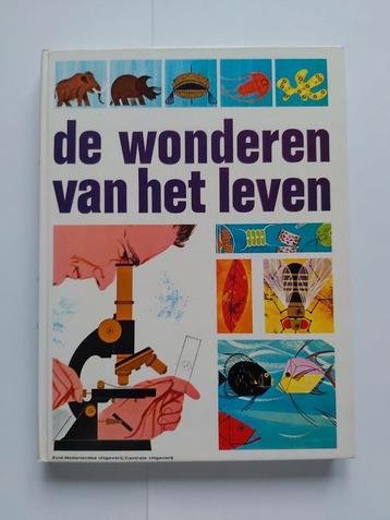 De wonderen van het leven - Gerald Ames en Rose Wyler beschikbaar voor biedingen