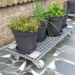 Verrijdbare trolley voor tuinkruiden, Ophalen, Minder dan 30 cm, 100 cm of meer, Tuin