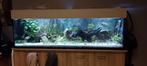 Aquarium 400L, Dieren en Toebehoren, Ophalen, Gebruikt, Leeg aquarium