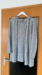Grijze vest, Enlèvement ou Envoi, Porté, Taille 38/40 (M), Gris