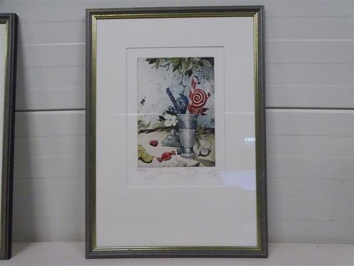 A5412 Kleurenets van Rüdiger Brassel, Antiek en Kunst, Kunst | Etsen en Gravures, Ophalen of Verzenden