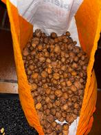 Lekkere wallnoten 6kg 20€, Ophalen