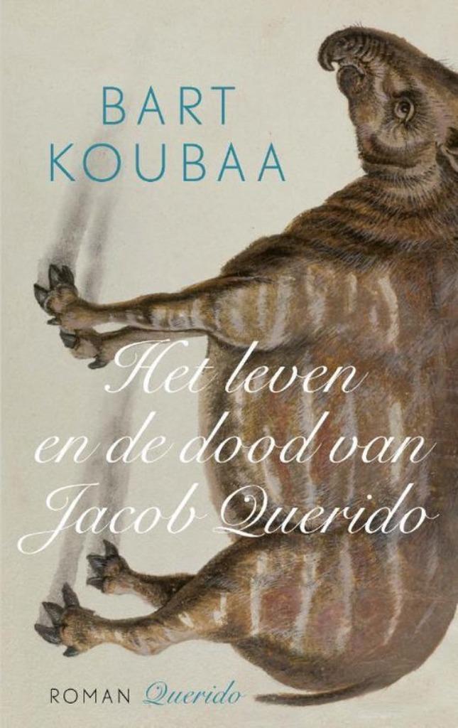Te Koop Boek HET LEVEN EN DE DOOD VAN JACOB QUERIDO B.Koubaa, Boeken, Romans, Zo goed als nieuw, België, Ophalen of Verzenden