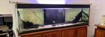 Vis aquarium 2,15m x 0,50m, Dieren en Toebehoren, Ophalen, Gebruikt