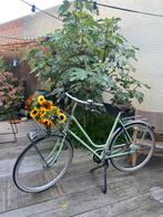 Mintgroene Roetz fiets, Fietsen en Brommers, Fietsen | Dames | Damesfietsen, Ophalen of Verzenden, Gebruikt, Overige merken