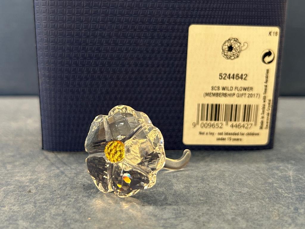 Swarovski SCS Ledengeschenk 2017 Wilde Bloem, Collections, Swarovski, Neuf, Figurine, Enlèvement ou Envoi