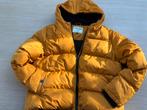 Mooie oker gele winterjas CARS JEANS kids mat XL 14/15j., Kinderen en Baby's, Kinderkleding | Maat 134, Ophalen, Gebruikt, Jongen of Meisje