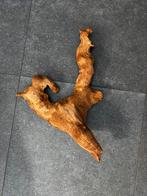 Branche en bois pour aquarium ou terrarium, Enlèvement, Comme neuf