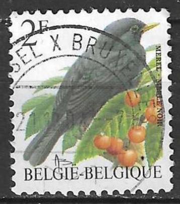 Belgie 1992 - Yvert 2456 /OBP 2458 - Buzin - Merel - 2F (ST) beschikbaar voor biedingen
