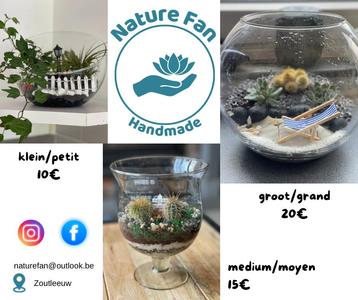 Terrariumplanten beschikbaar voor biedingen