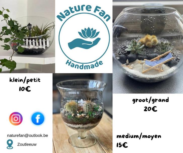 Terrariumplanten, Tuin en Terras, Bloembakken en Plantenbakken, Nieuw, Overige materialen, Ophalen