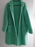 Mint groene Cardigan, Ophalen of Verzenden, Zo goed als nieuw