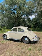 vw kever 1959, Particulier, Beige, Te koop