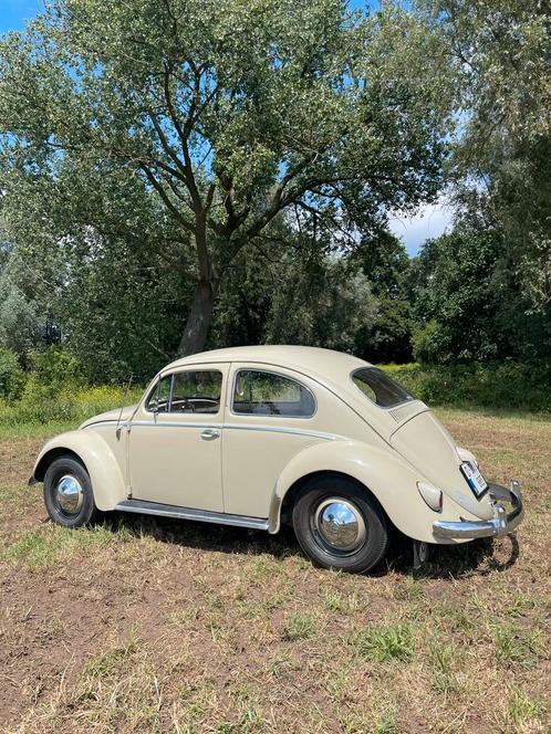 vw kever 1959, Auto's, Volkswagen, Particulier, Beige, Ophalen
