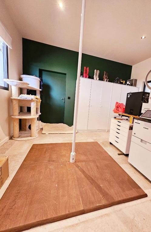 Danspaal Pole stage, Sport en Fitness, Fitnessapparatuur, Zo goed als nieuw, Overige typen, Metaal, Ophalen