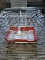 Cage pour oiseaux, Dieren en Toebehoren, Vogels | Hokken en Kooien, Ophalen, Nieuw, Metaal, Vogelkooi